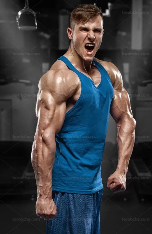 nody-عکس-باشگاه-بدنسازی-مردان-1729202946